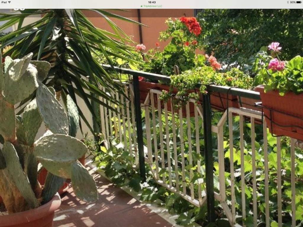 Hotel Mirella Rimini Luaran gambar