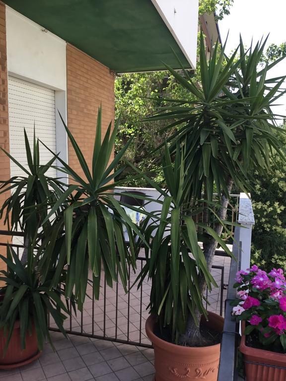 Hotel Mirella Rimini Luaran gambar